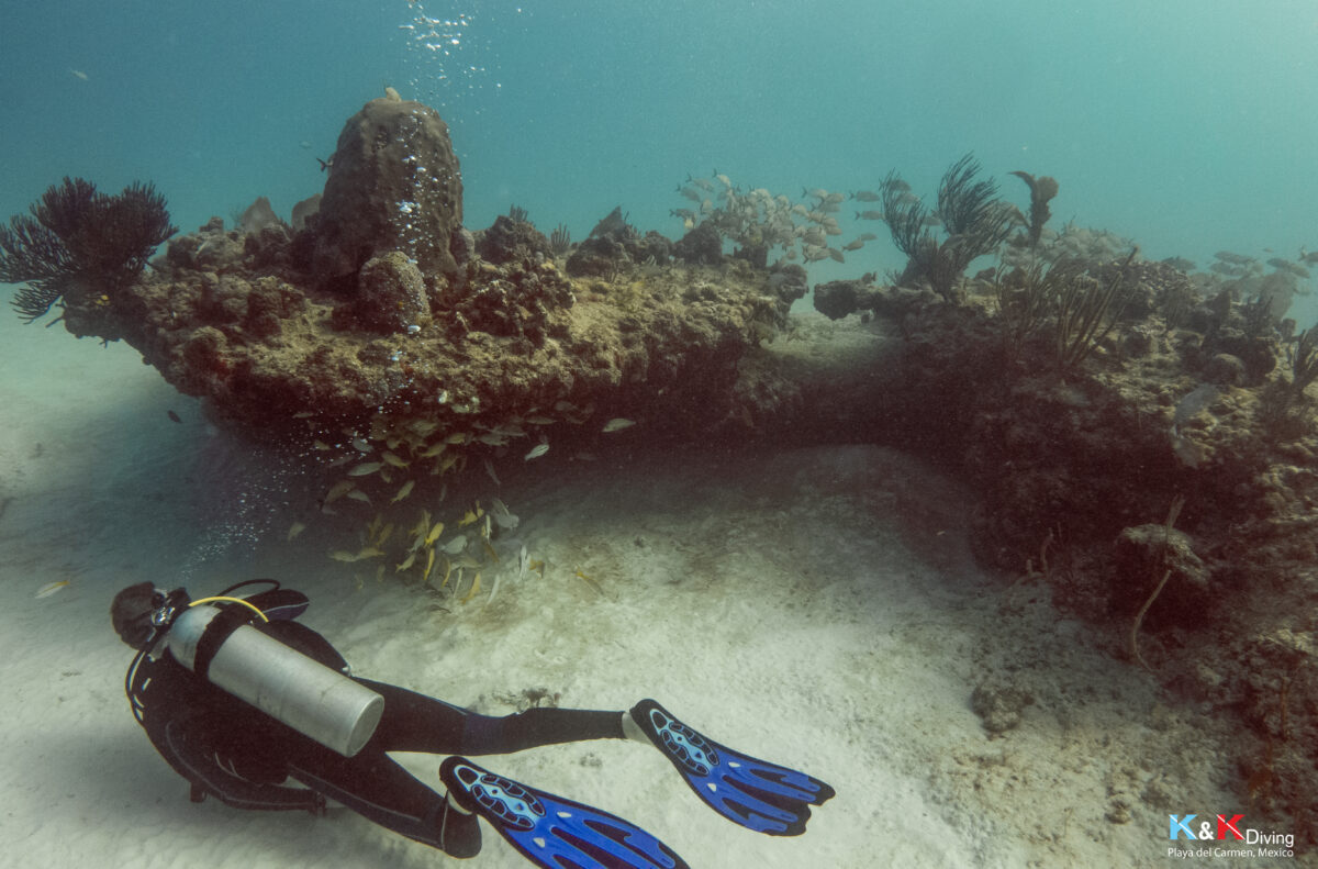 Gallery Double K Diving