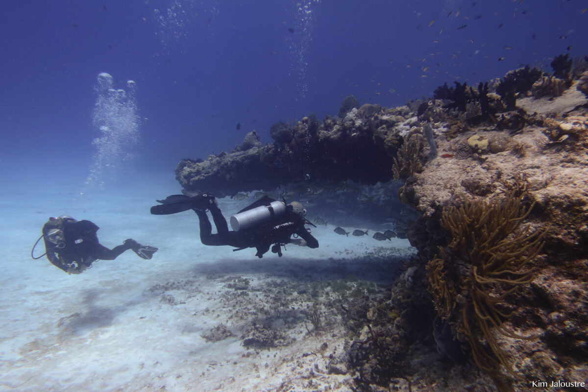 Gallery Double K Diving