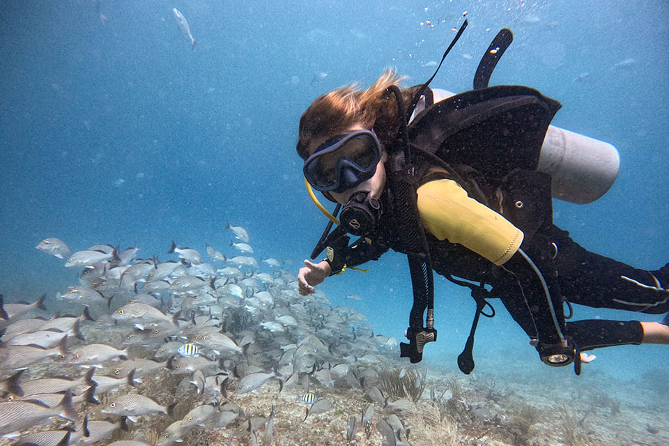 centre de plongée à Playa Del Carmen - K&K Diving