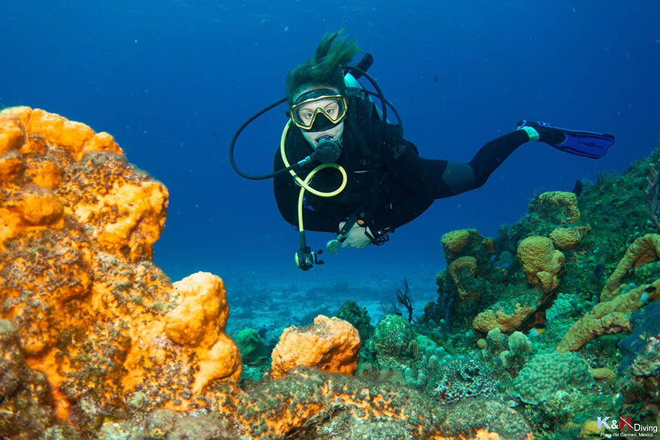 Organiser votre plongée à Cozumel au Mexique avec K&K Diving