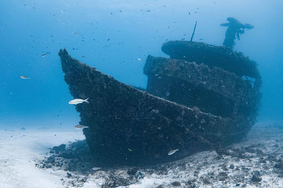 Votre plongée au Mexique à la Riviera Maya avec K&K Diving