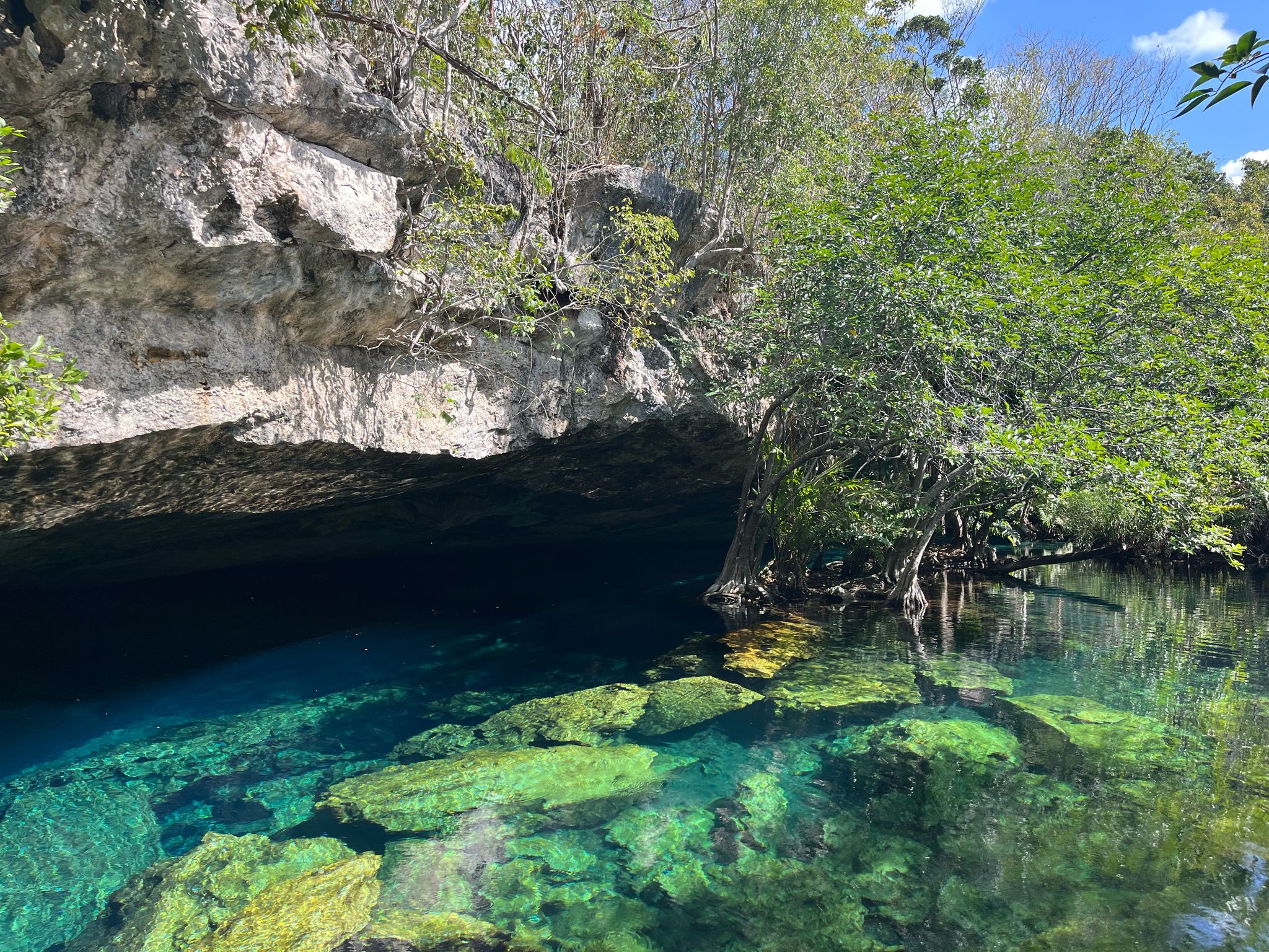 Plongée cénote du Yucatan au Mexique - K&K Diving